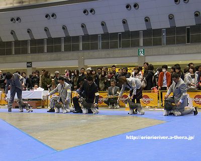 111218⑭.jpg