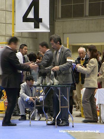 111218⑮.jpg